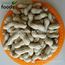 Chinese groundnuts inshell